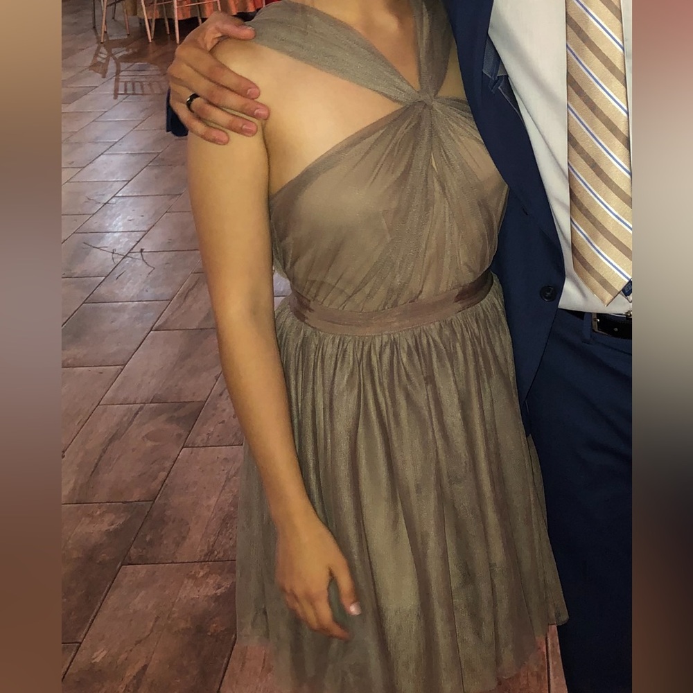 Ark & Co Ballerina Tulle Dress
